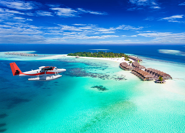 Our Team Lives and Breathes Travel